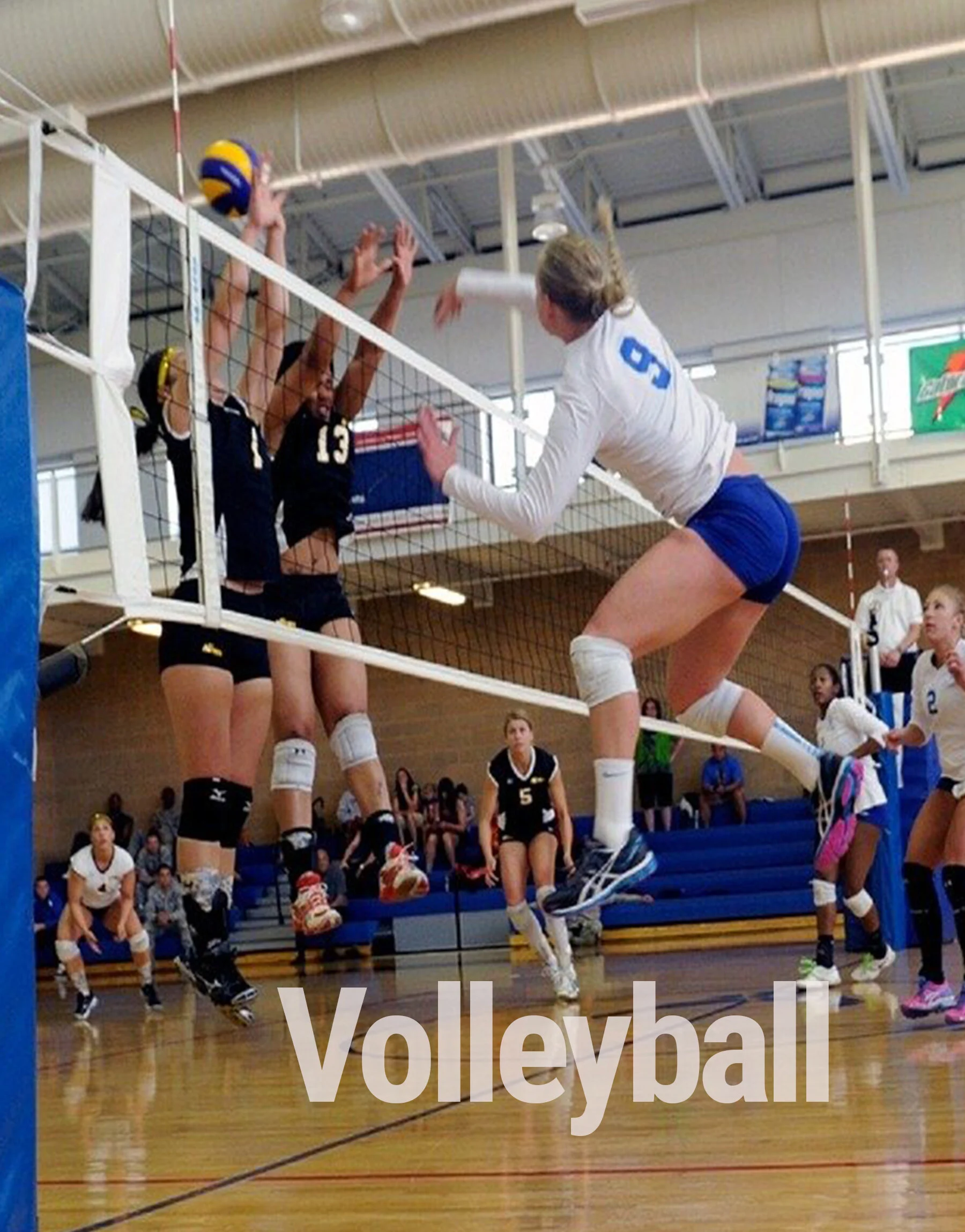 Volleyball